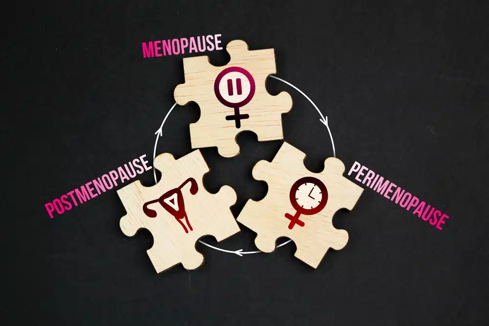 Stages of menopause
